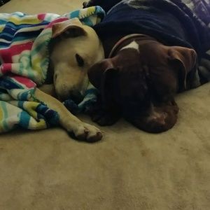 Meet your Posher, Christina